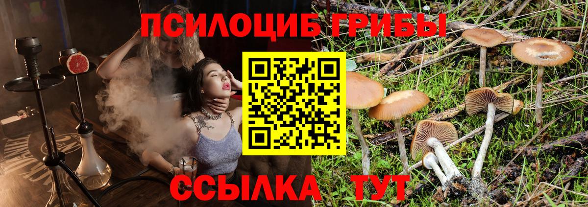 Галлюциногенные грибы Cubensis Каспийск