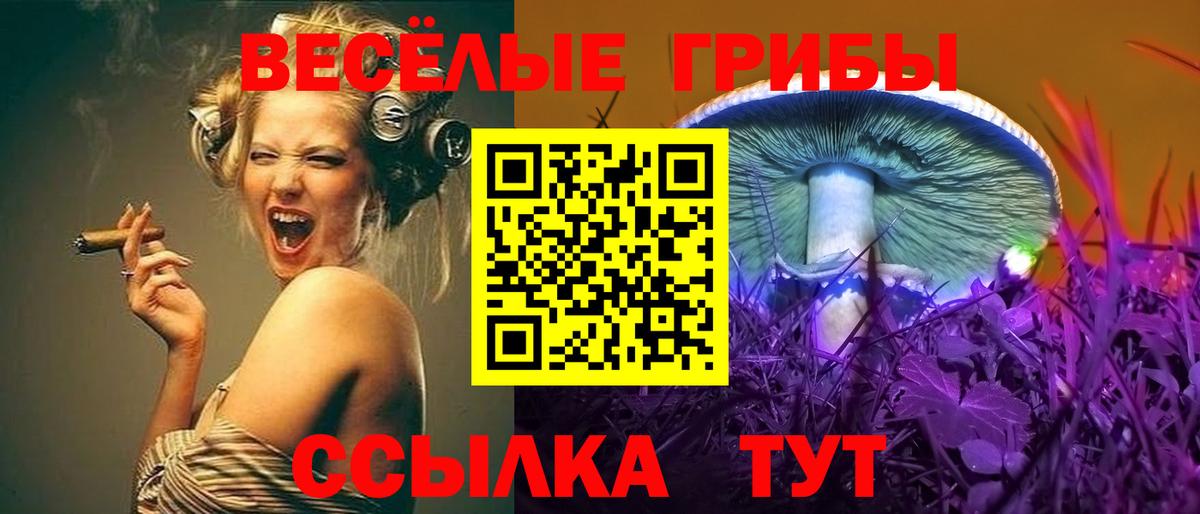 Псилоцибиновые грибы MAGIC MUSHROOMS  Вход с VPN  Каспийск 